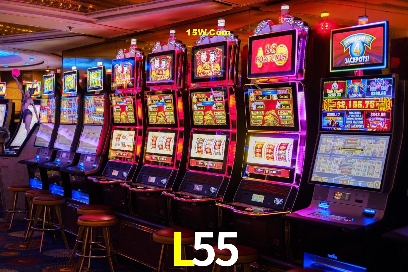 Experiência VIP L55